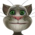 Talking Tom Cat