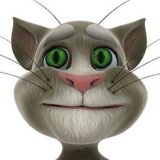 Talking Tom Cat