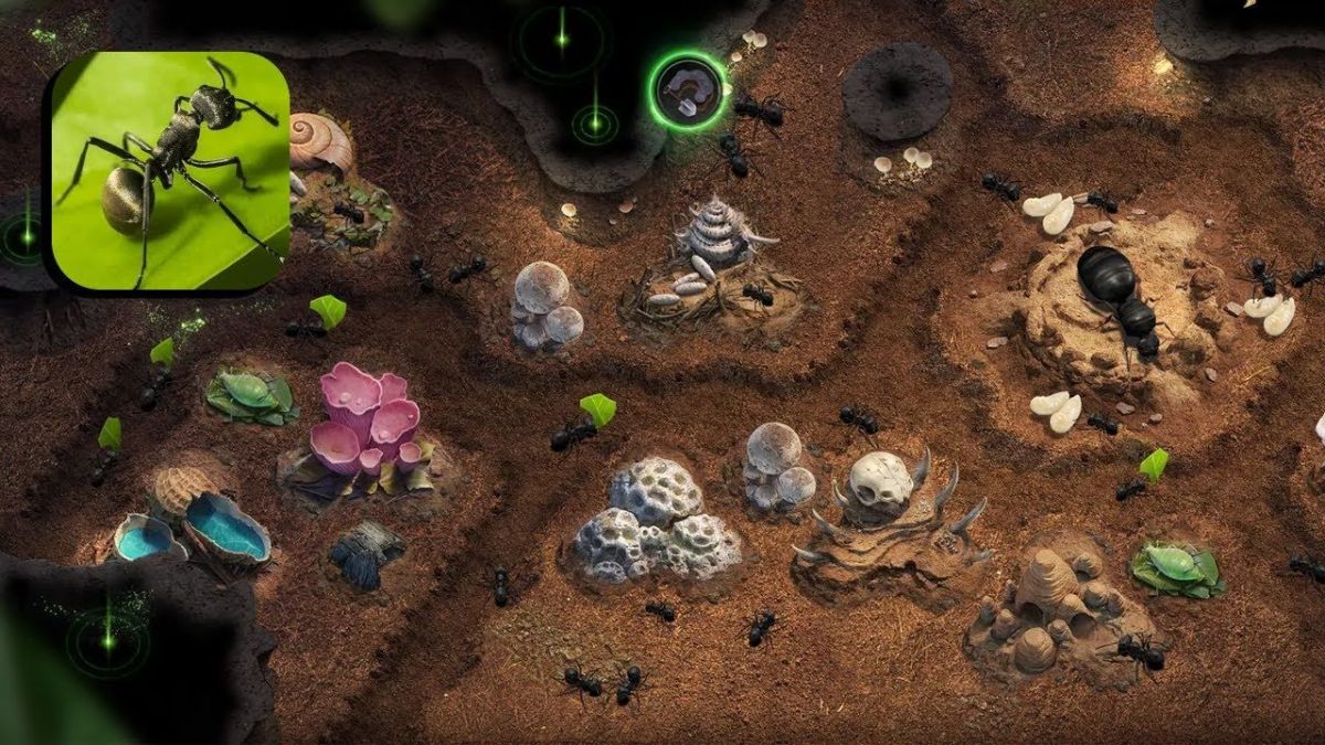 The Ants: Underground Kingdom | Gameappsdownload.com