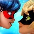 Miraculous Ladybug Cat Noir